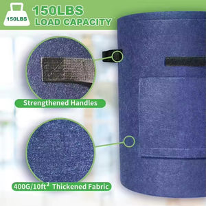 Fournitures de jardin, <span class=keywords><strong>pot</strong></span> de culture de bleuets de 4/7/10 gallons, pots de culture de plantes colorés pour enfants, jardin - Product Image 6