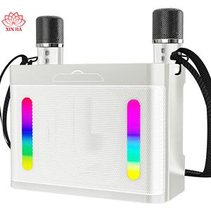 Loa Siêu Trầm Không Dây Di Động Kép Microphone <span class=keywords><strong>Bluetooth</strong></span> Loa Hifi Âm Thanh Gia Đình Đảng Karaoke Boombox Quà Tặng Cho Trẻ Em ys210 - Product Image 6