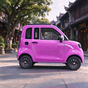 Voiture électrique 2 places pour hôtel de charme, avec 6 unités, 40HQ <span class=keywords><strong>et</strong></span> pneus 125 60R12, certifiée COC - Product Image 6