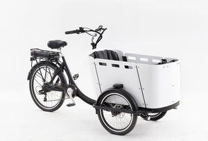 <span class=keywords><strong>Vélo</strong></span> électrique portable, 250W, pour la famille, usage enfant - Product Image 4