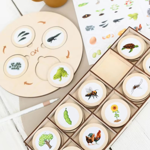 Bandeja de juguete de ciclo de vida Montessori, materiales Montessori, juego educativo preescolar para el hogar para niños pequeños - Product Image 2