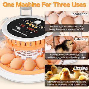 Tự động độ ẩm nhiệt độ kích thước nhỏ 12 gà công suất trứng lồng ấp gia cầm trứng nở máy - Product Image 3