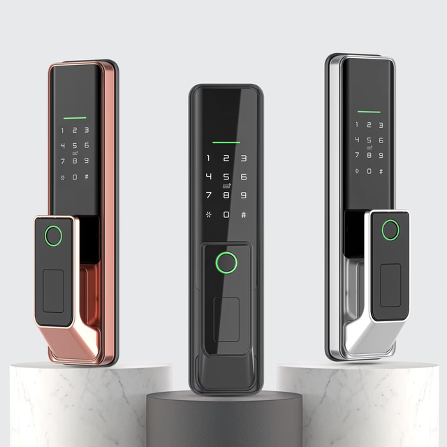 Factory Price 3d Face Recognition Biometric Fingerprint Smart Door Lock Wishome Wifi Digital Locks