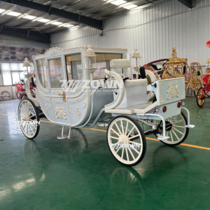 Calèche de mariage royale blanche de luxe haut de gamme, style classique tiré par des chevaux, calèche électrique, roues solides, taille personnalisable - Product Image 5