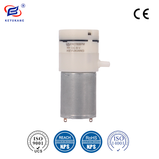 Mini DC 6V-24V Low Pressure Diaphragm Pump with Pressure Switch Solenoid Assembly OEM Customizable CE Certified 1 Year Warranty
