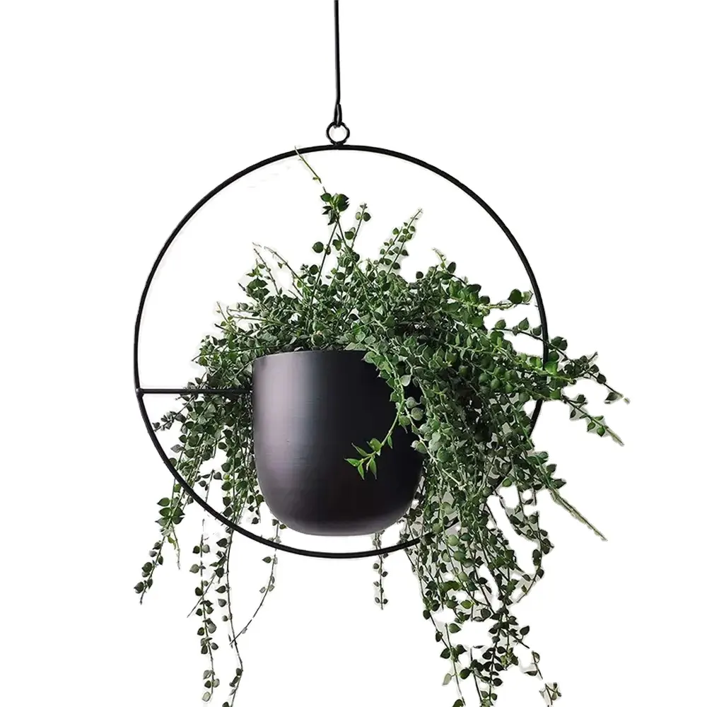 Metall hängenden Topf Pflanze Kleiderbügel Kette hängen Pflanzer Korb Blumentopf Pflanzen halter Home Decoration Eisen Pulver beschichtung Modern