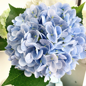 Высококачественная искусственная гортензия из латекса с эффектом натурального прикосновения, большая головка, зеленая с белым, водонепроницаемая, для выпускного, Рождества, свадьбы, дома - Product Image 4