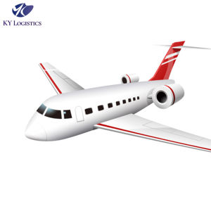 DDP DDU Pengiriman Barang dari Pintu ke Pintu dari Tiongkok ke Sahara Barat, Eritrea, Ethiopia, Fiji, Pulau Falkland... Agen Pengiriman - Product Image 1