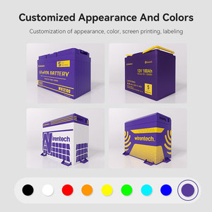 Chu kỳ sâu 12V 24V 36V 48V 100AH 300ah 400ah bán trạng thái rắn pin lithium ion có thể sạc lại pin LiFePO4 cho RV - Product Image 2