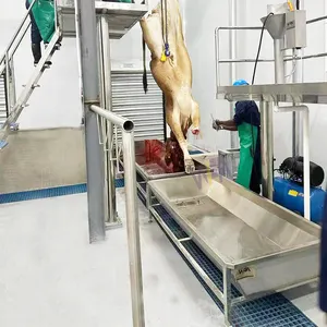 Inek kesim hattı sığır Abattoir makinesi için sığır kanı toplamak