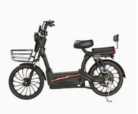 Vélo Électrique Free Wind 48V avec Batterie Plomb-acide, Moteur Arrière, Autonomie 55-65km, E-Bike Transfrontalier, Fourniture Directe Usine 60km