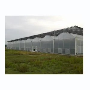 High Production Commercial Agricultural Multi Span Green House Hydroponic Tomato Greenhouse For Sale