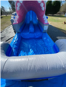 20ft Chiều cao ngoài trời đôi Slide Inflatable cá mập trượt cho người lớn và trẻ em cho thuê trong công viên - Product Image 3