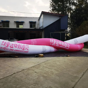 <span class=keywords><strong>Tige</strong></span> <span class=keywords><strong>gonflable</strong></span> personnalisée avec de longues lignes gonflables - Product Image 2