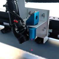 Plotter de Corte Láser de Vinilo con Tubo de CO2 RF, Alta Precisión, Automático, para Etiquetas de Ropa, Cortador Láser de Vinilo de Silicona 3D