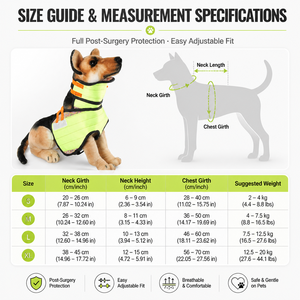 Combinaison de récupération pour animaux de compagnie : Gilet post-opératoire pour chien avec support de collier cervical, alternative au collier anti-léchage, combinaison ajustable pour chats - Product Image 2
