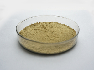 Chiết Xuất <span class=keywords><strong>Astragalus</strong></span> Tự Nhiên 10% ~ 80% Bột Polysaccharide <span class=keywords><strong>Astragalus</strong></span> - Product Image 6