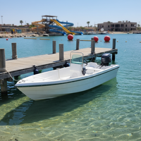 Nouveau Bateau de Pêche Catamaran de 5 m en PRF (M-001) pour la Pêche Familiale