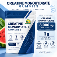 Gummies de créatine monohydrate à marque privée OEM, supplément en poudre à base de plantes saveur pastèque, électrolyte de créatine
