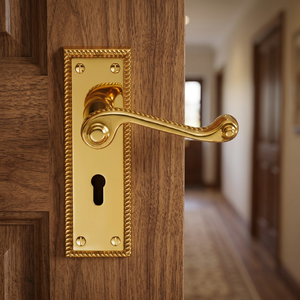 Poignée de porte traditionnelle en laiton la plus vendue avec un design à bordure en corde pour portes intérieures et extérieures, disponible à un bon prix - Product Image 4