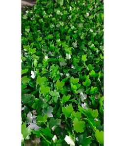 Rollo de Cerca Artificial de Setos Verdes para Jardín, Balcón, Terraza, Decoración de Paredes Exteriores, Resistente a los Rayos UV - Product Image 1