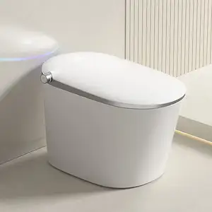 Luxury Modern WC Sanitary Ware White Color Grey Edge Porcelain Intelligent Toilet Smart Toilet Bowl