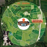 Collier de dressage pour chien étanche IPX6 GPS sans fil, approuvé CE FCC, prix usine, commande en gros, longue portée, autonomie de la batterie >20 heures, anti-aboiement