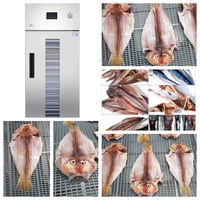 Industriële Elektrische Tray Droger Oven Vetable Fruit Vlees Vis Droger Medium Temperatuur Lucht Circulerende Droogmachine