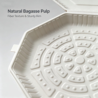 Assiette à pizza ronde jetable en bagasse biodégradable de 8,75 pouces, 100 % compostable, écologique, pour les fêtes et les restaurants