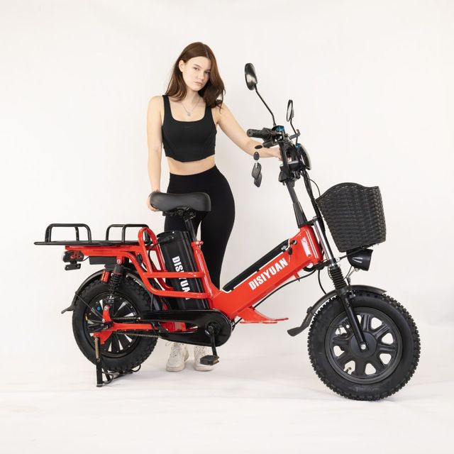 2025 New Design Adult Electric Hybrid Bike 16 Inch Steel Frame 3 Speed Lithium Battery with Hydraulic Disc Brakes >60km Range