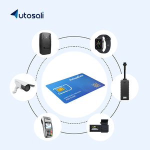 Thẻ Sim IOT toàn cầu-30Mb, phí hàng tháng bằng 0-Hoàn hảo để theo dõi GPS và ứng dụng IOT băng thông thấp trên toàn thế giới - Product Image 5