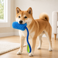 Jouet à mâcher pour chien en polyester écologique avec poignée, jeu de la corde, jouet interactif d'extérieur pour petits et moyens chiens, vente en gros OEM
