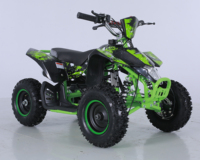 Quad enfant Tao Motor 50cc 2 roues motrices à transmission par chaîne automatique