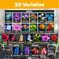 Mezcla Natural de 23 Variedades de Flores Silvestres Anuales 100% Sin OGM a Granel para Pájaros y Mariposas para Uso en Jardineras de Suelo y Macetas de Jardín