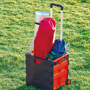 Chariot de courses pliable / Chariot / <span class=keywords><strong>Caisse</strong></span> de courses à roulettes (CAPACITÉ 25 KG) - Product Image 4