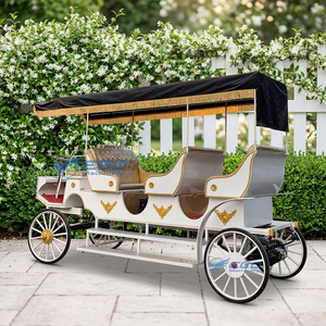 Fabricant de mini-voitures à chevaux électriques de style carrosse royal chinois avec capot, pour la visite touristique et les mariages - Product Image 1