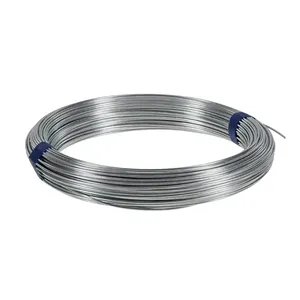 Laços de arame Quente Mergulhado Electro Galvawomen Twist Tie Wires Galvanizado Switeiron Bobina Ferro BWG 20 21 22 Pacote Personalizado Sky Aço