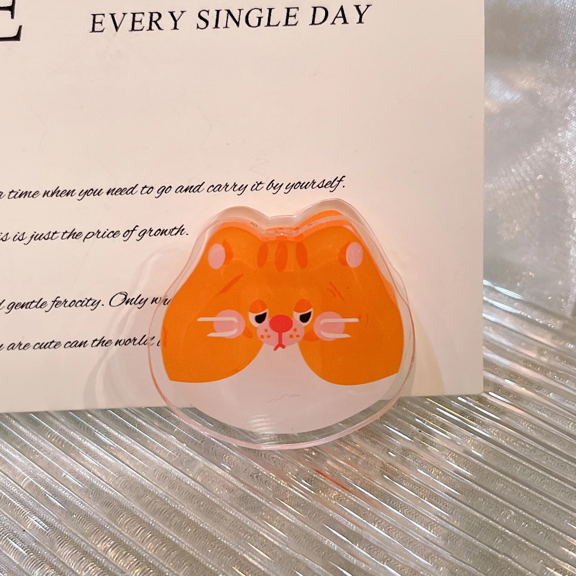 Orange cat