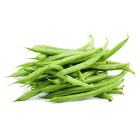 Frijoles de la Marca Moon Star Premium, Variedad para Cultivo Comercial, con Excelente Uniformidad de Vainas, Crecimiento Fuerte, Alto Potencial, 99%