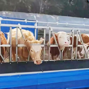 ที่ล็อคคอวัวแบบเปิดสองด้าน สำหรับปศุสัตว์ <span class=keywords><strong>ควาย</strong></span> วัวนม และโค - Product Image 4