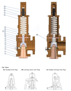 API 526 chứng nhận 300lb 2j3 Bellows Relief va-wcb cơ thể ANSI mặt bích | Cân bằng dưới đây cho khí/dầu | hướng dẫn nâng kiểm tra đòn bẩy - Product Image 4