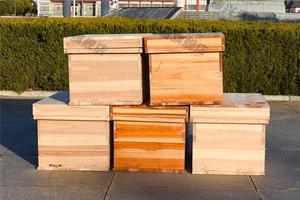 Làm khô tổ ong, bảy baited tổ ong, bộ hoàn chỉnh của tổ ong, thông Gỗ mật ong sinh sản hộp, nghề nuôi ong và mật ong thu hoạch - Product Image 5