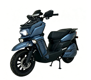 <span class=keywords><strong>Moto</strong></span> électrique tout-terrain 72V 3000W style ADV avec barre de protection, porte-bagages avant et protège-mains pour adulte - Product Image 1