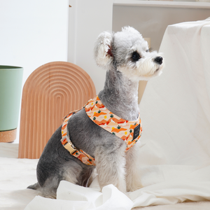 Breathable Cotton Luxury Comfortable <b>Dog</b> Harness Cat Harness Fashion Pattern Adjustable Buckle Small Breed Fashion Style OEM ODM - Product Image 3