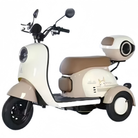 Tricycle électrique compact et léger, moteur arrière à balais 1000W, 3 vitesses, design à 3 roues, cadre en acier au carbone, batterie plomb-acide 48V