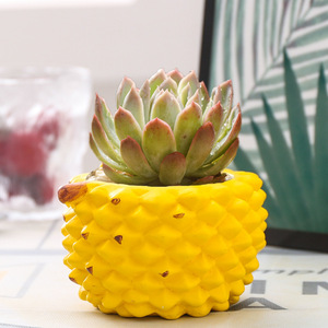 Pot de fleurs pour plantes succulentes, en céramique respirante, motif fruit de durian, poterie rustique créative, décoration simple, jardinière verte - Product Image 4