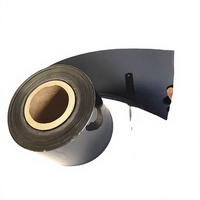 Lentilles de filtre colorées en résine polycarbonate polyéthylène téréphtalate résistantes aux hautes températures pour casque, chapeau, diaphragme rouge grandeur nature