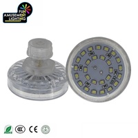 Vente en gros Parc Grande Roue Lumière LED Rgb Cabochon Led Fun Amusement Ride Lumières