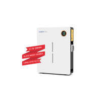 Batteries au lithium intelligentes GOSTA WM100HC pour stockage en entrepôt, LiFePO4 200AH 10KWH 51.2V, montage mural, remplacement des batteries au plomb-acide