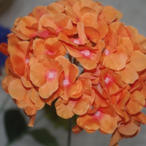 Vente chaude coloré haute qualité hortensia fleur artificielle pour la maison garden party décoration de mariage hortensia fleurs - Product Image 4